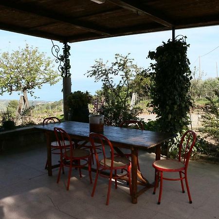 B&B Il Vigneto Trebisacce Eksteriør bilde